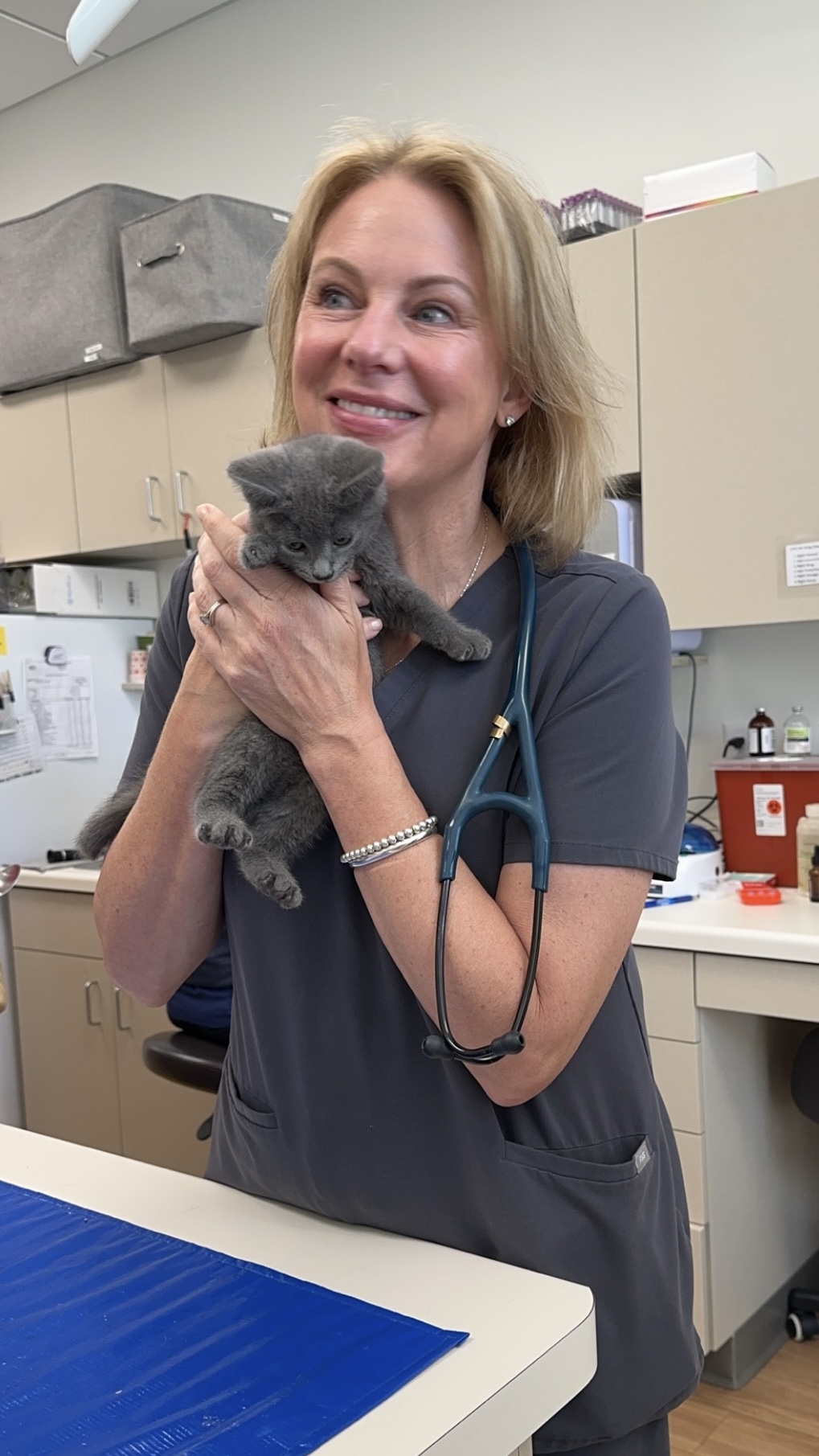 Dr Kristi & Kitten